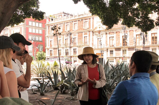 ANDARES Freewalkingtour: Historical Route in Downtown Mexico City - Tour Schedule