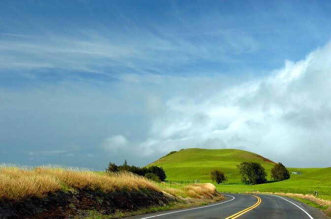 Big Island - Kohala Coast & Backcountry Driving Tour - Key Points