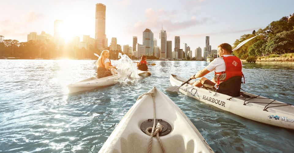 Brisbane: Guided River Kayak Tour - Key Points