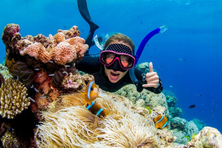 Cairns: Great Barrier Reef Snorkeling or Dive Tour and Lunch