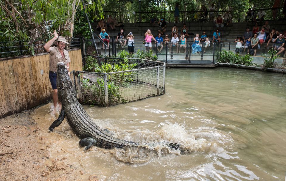 Cairns: Hartleys Crocodile Adventures Visit With Transfer - Key Points