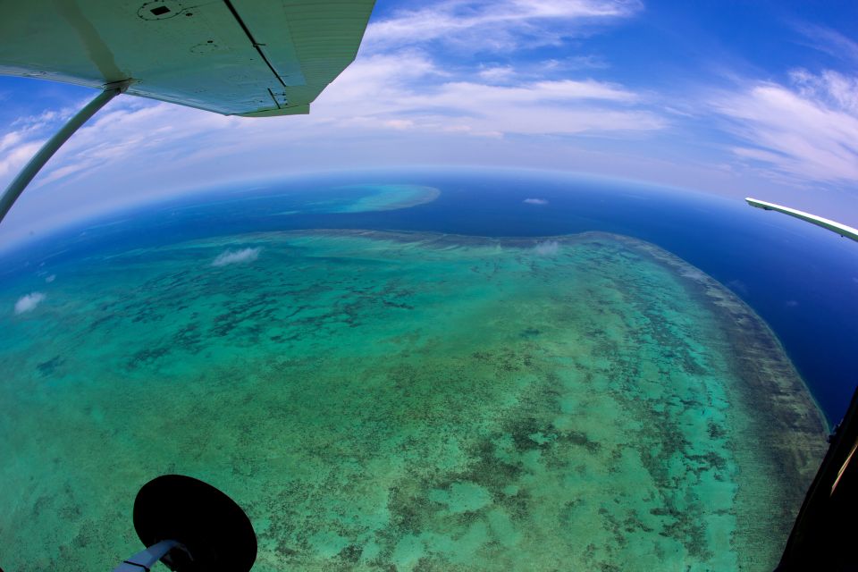 Cairns: Reef & Port Douglas Scenic Flight - Booking Details