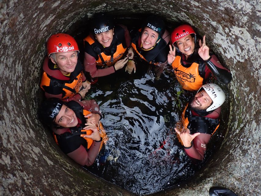 Cairns: Waterfalls Rainforest Experience - Key Points