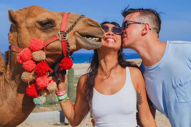Camel Ride on the Beach With Mexican Lunch - Key Points