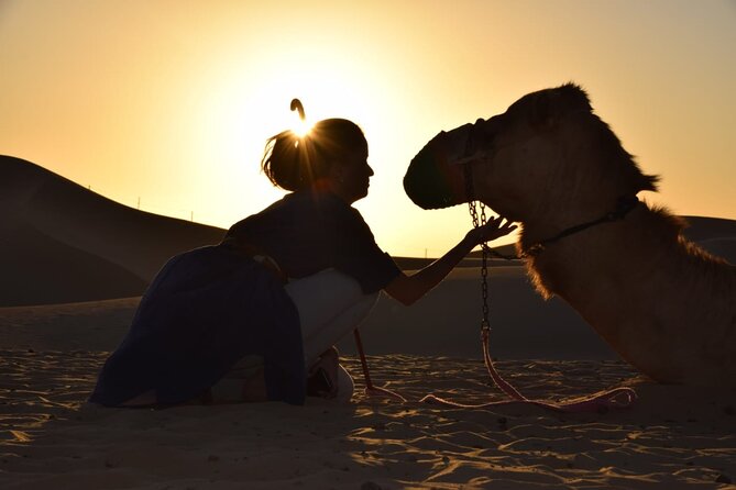 Camel Trekking in Abu Dhabi - Key Points