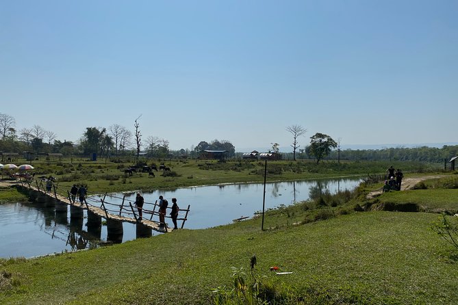 Canoeing and Nature Walk in Chitwan National Park - Wildlife Encounters