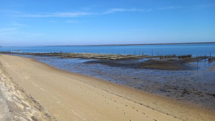 Cap-Ferret With Oysters Tasting - Key Points