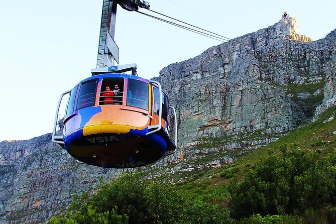 Cape Town Private Tour, Table Mountain Car & Constantia Wine Tasting - Tour Options for Cape Town Private Tour