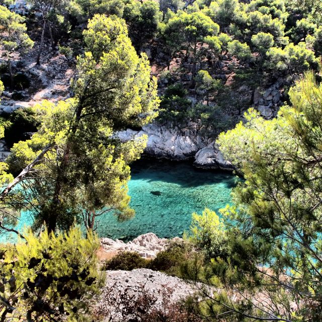 cassis calanques national park sea kayaking tour Cassis: Calanques National Park Sea Kayaking Tour