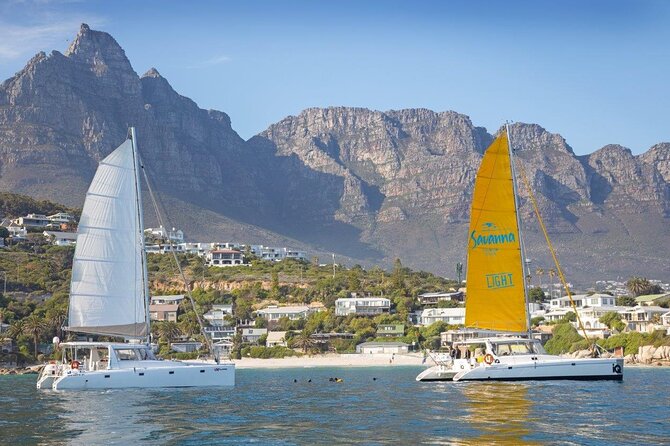 Catamaran Cruise in Cape Town - Key Points