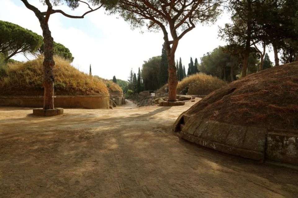 Cerveteri - the Etruscan Necropolis Private Tour From Rome - Key Points