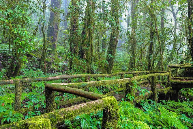 Chiang Mai - One Day Best Of Doi Inthanon National Park - Tour Overview and Highlights