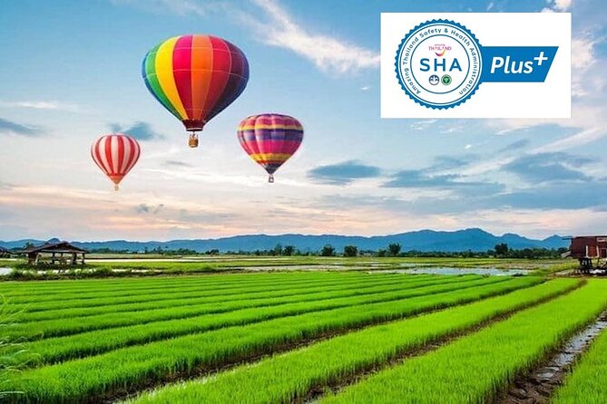 Chiang Rai Hot Air Balloon Ride - Key Points