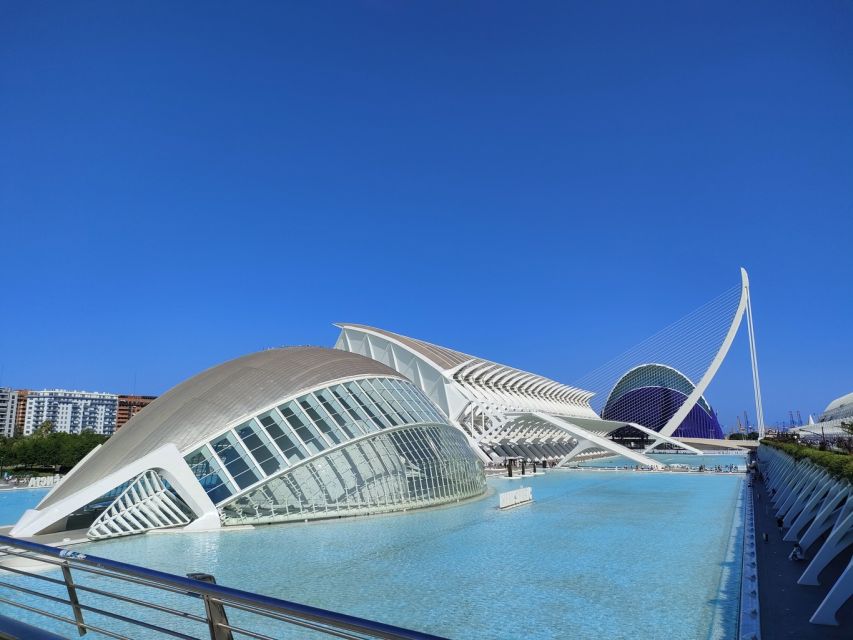 City of Arts and Sciences Private Bike Tour - Key Points