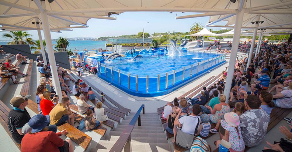 Costa Den Blanes: Entry Ticket for Marineland Mallorca - Key Points