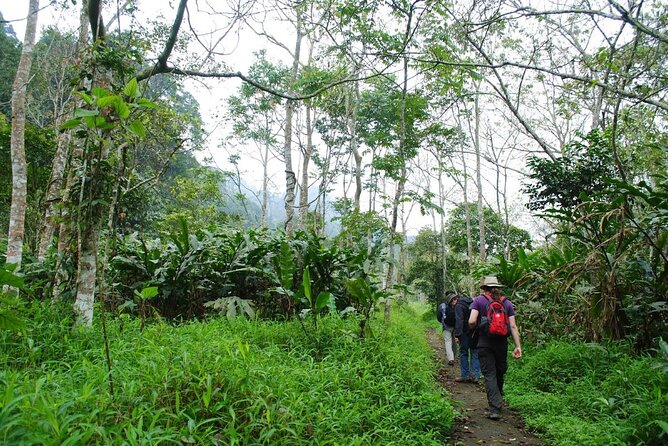 Cuc Phuong National Park Private Day Tour: Trekking & Primates - Tour Highlights