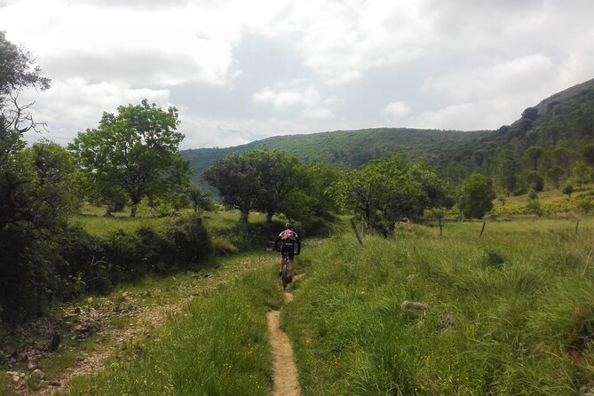 Cycling to Conimbriga Roman Ruins, Self-Guide, Full-Day From Coimbra - Key Points