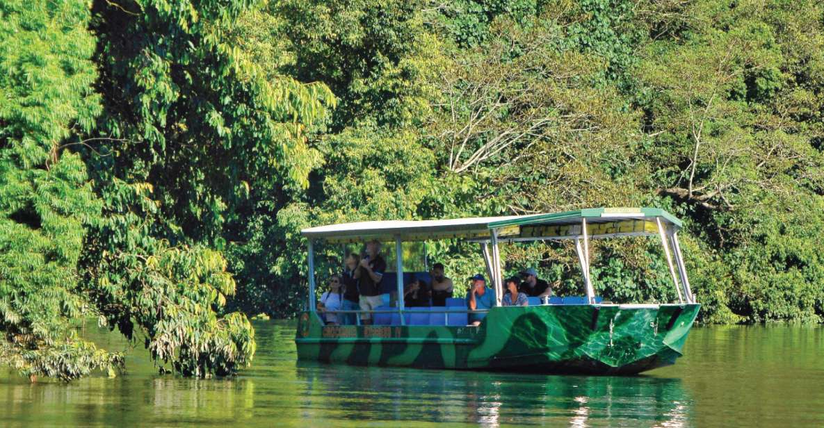 Daintree: Lower Daintree Crocodile & Wildlife Cruise - Key Points