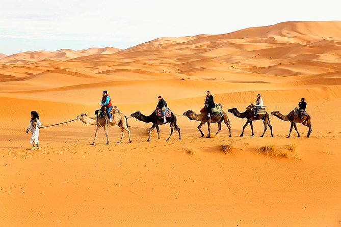 Desert Safari With Bab AL Shams Dinner With 45 Minutes of Dune Bashing - Key Points