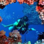 discover scuba diving from kusadasi port hotels Discover Scuba Diving From Kusadasi Port / Hotels