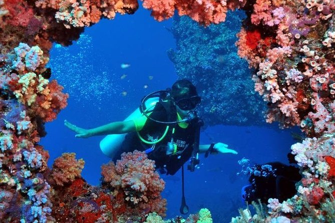 discover scuba diving from kusadasi port hotels Discover Scuba Diving From Kusadasi Port / Hotels
