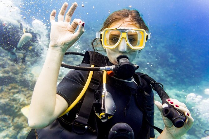 Diving in Amazing Underwater Museum in Side - Key Points