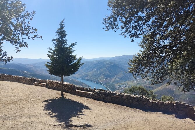 Douro Classic Sightseeing Full-Day Private Tour - Key Points