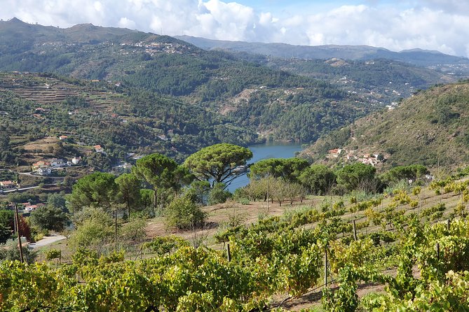 Douro Valley - Lets Go for It. - Douro Valley Overview