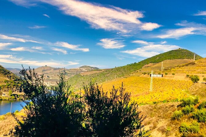 Douro Valley Private Tour: 2 Farms, Lunch & Boat Trip - Key Points