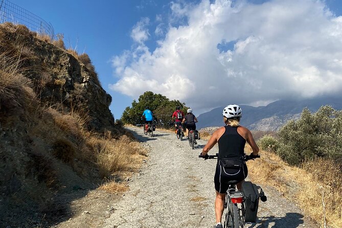 E-Bike Tour With Wine Tasting in Dafnes, Heraklion - Just The Basics