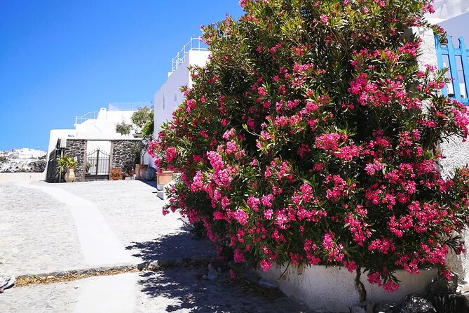 Easy Walks in Santorini Private Half Day Tour - Pickup Information