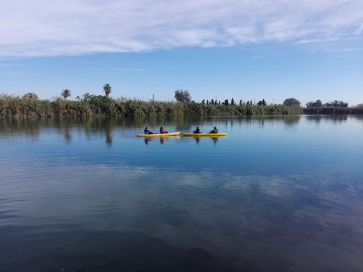 Ebro Delta: Guided Kayak Tour to Gracia Island - Key Points