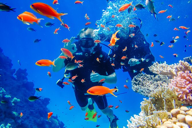 Exciteful Scuba Diving Experience in Antalya - Key Points