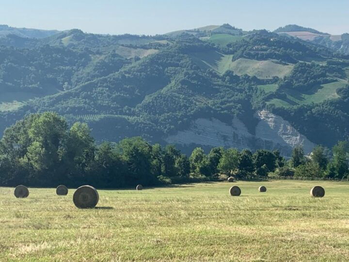 Farm Stay Experience & Dozza - Private Day Tour From Bologna - Key Points