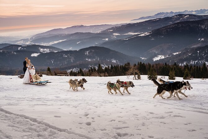 Feel the Magic of Winter With Thrilling Arctic Dog Sled Rides - Key Points