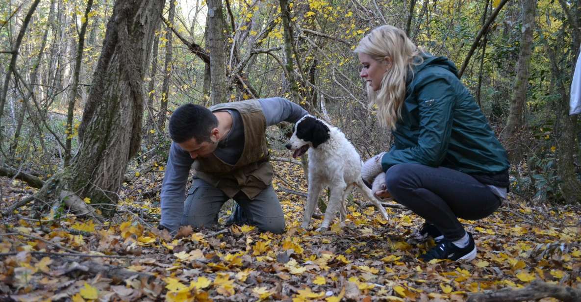 Florence: Truffle Hunting Tour, Wine Tasting, and Lunch - Key Points