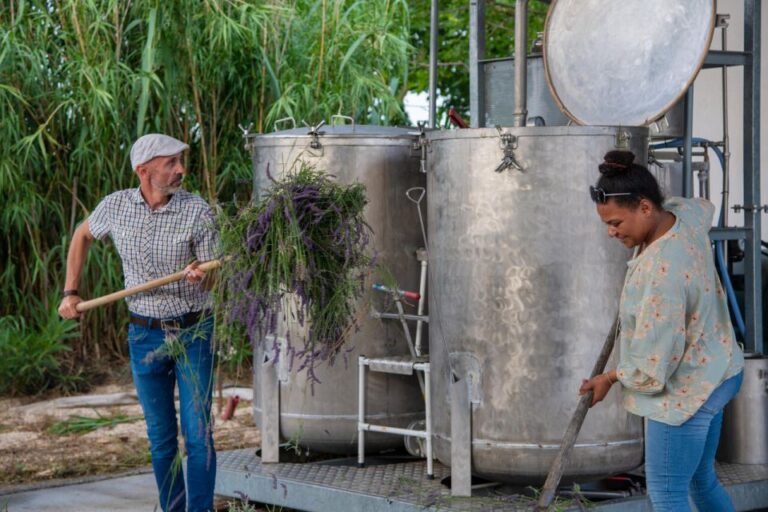 Flowers Picking and Essential Oil Distillation Workshop