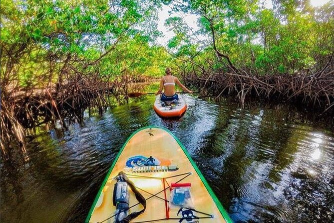 Fort Lauderdale Bonnet House Ground and Guided Paddle Board Kayak - Key Points