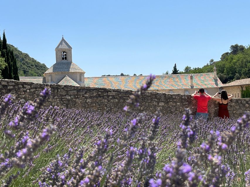 From Avignon: Lavender Tour in Valensole, Sault and Luberon - Key Points