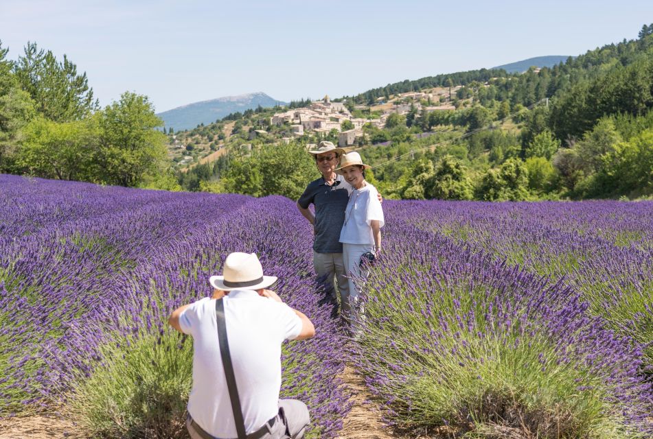 From Avignon: Lavender Villages Day Trip - Key Points