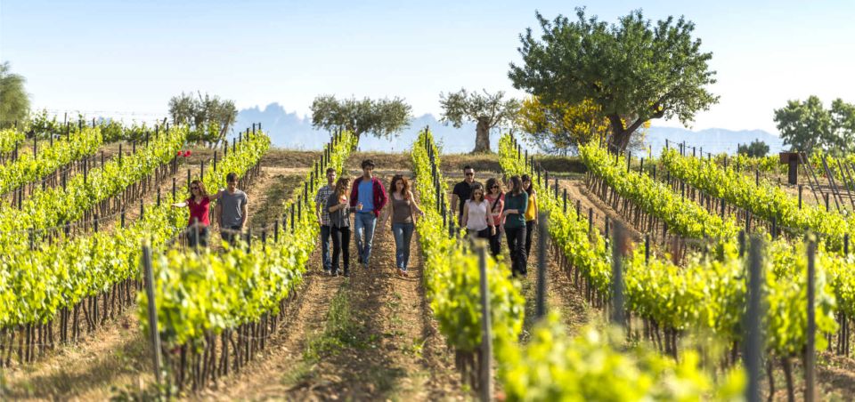 From Barcelona: El Penedès Hike and Wine Tour - Key Points