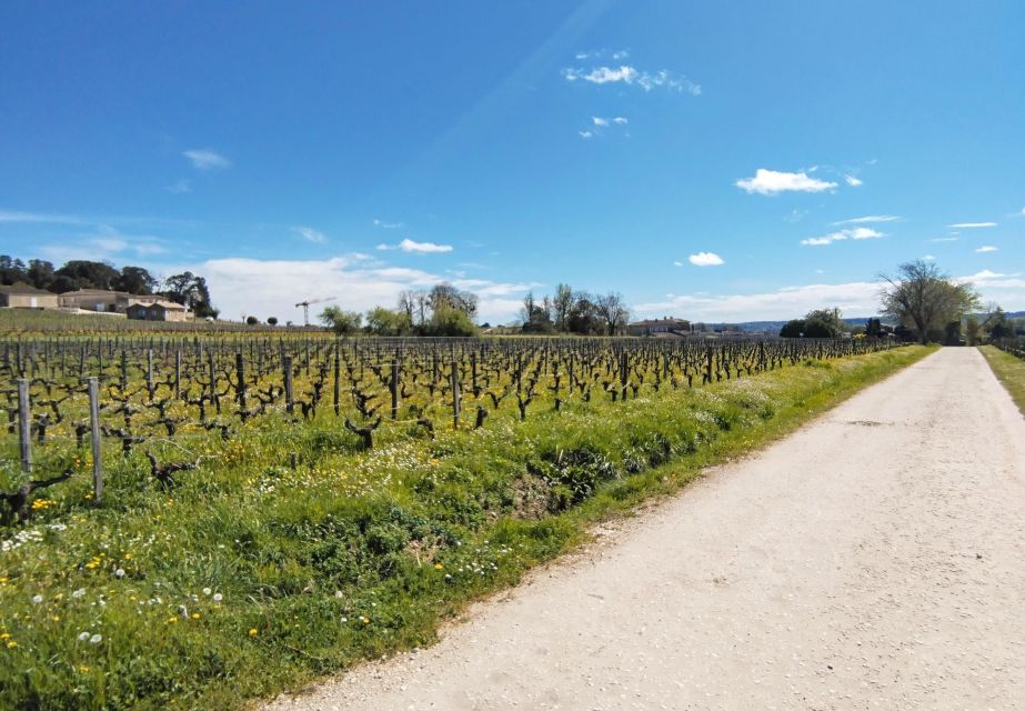 From Bordeaux to Saint Emilion by Gravel Bike - Wine Tasting - Key Points