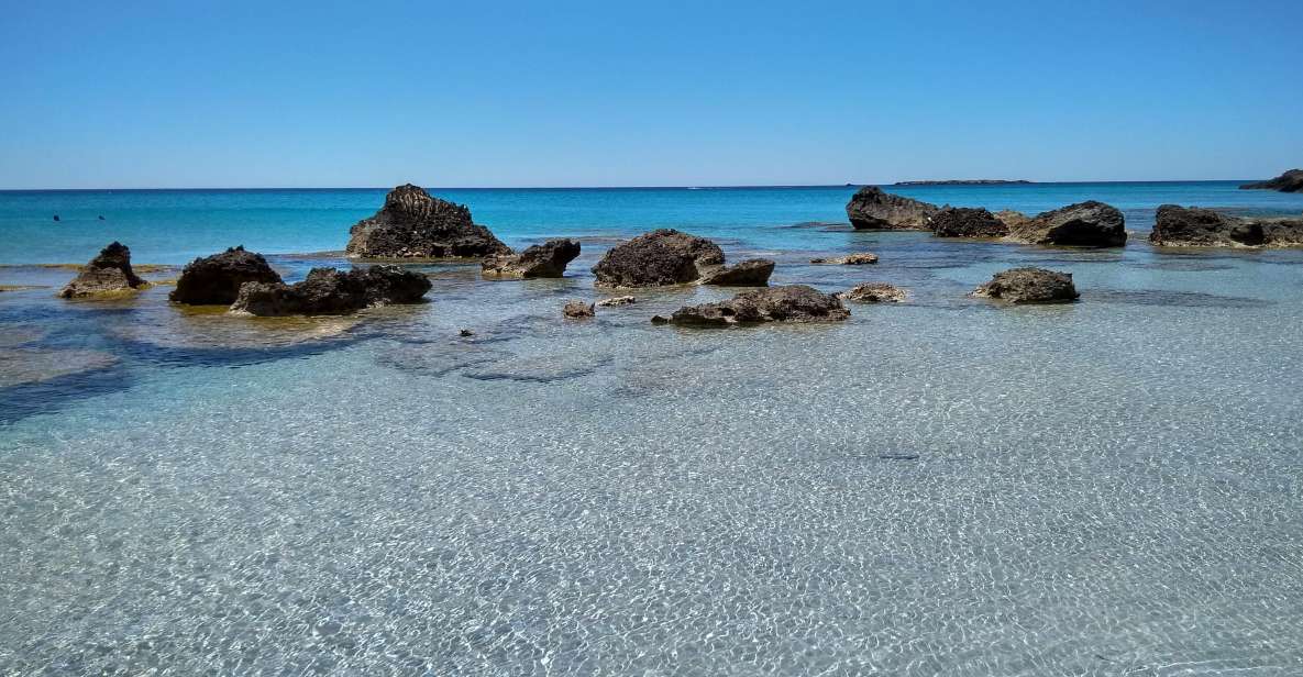 From Chania: Falassarna Beach, Wine & Olive Oil Private Tour - Tour Overview