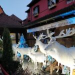 from colmar christmas markets across 3 borders 2 From Colmar: Christmas Markets Across 3 Borders