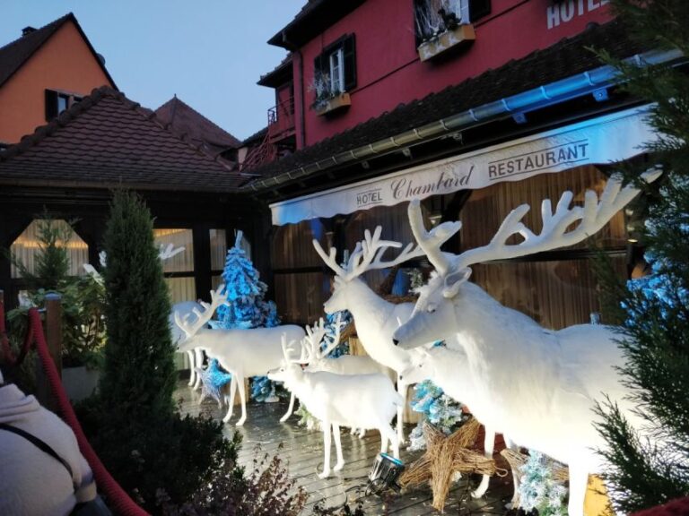 From Colmar: Christmas Markets Across 3 Borders