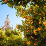 from costa del sol seville day trip From Costa Del Sol: Seville Day Trip