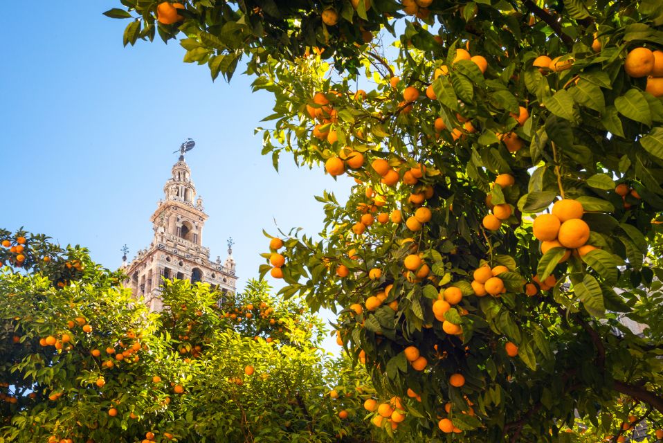 From Costa Del Sol: Seville Day Trip