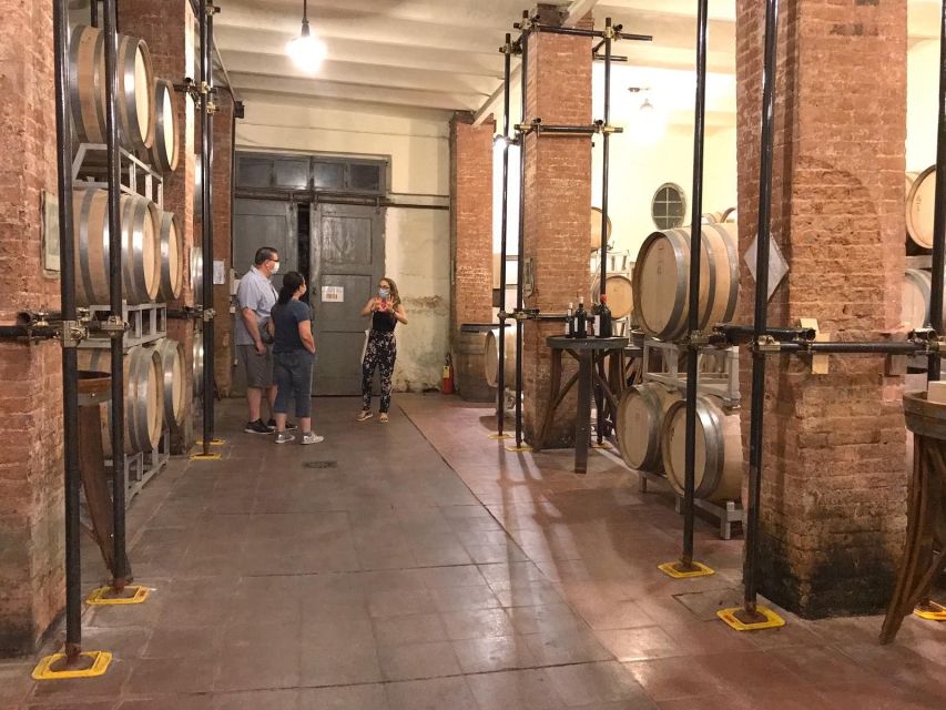 From Florence: Carmignano Half-Day Wine and Food Tour - Key Points