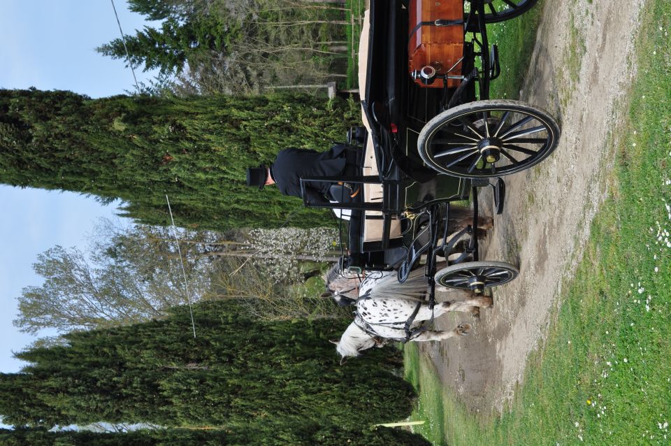 From Florence: Carriage Ride in Chianti Hills With Lunch - Key Points