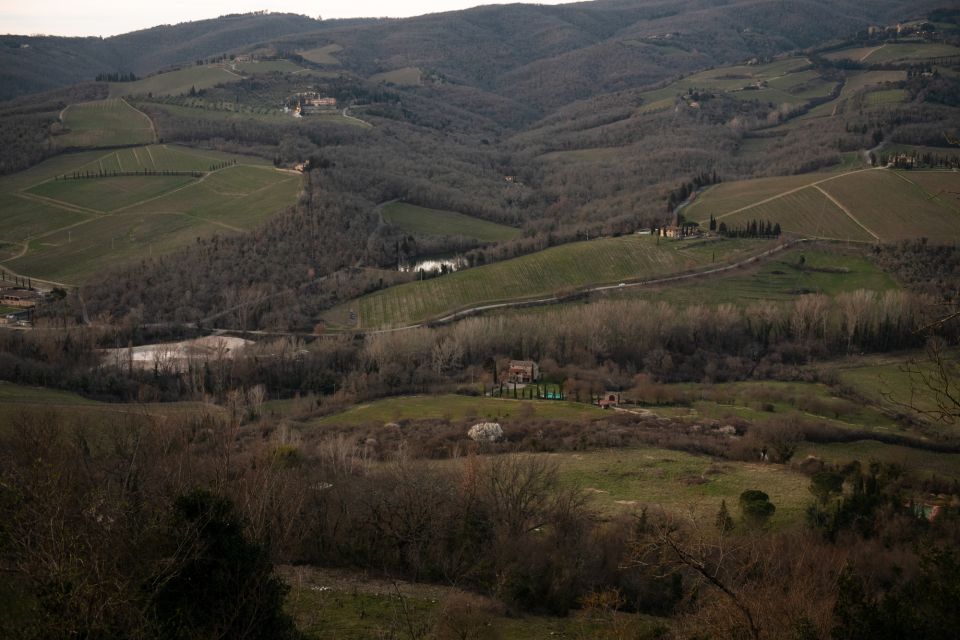 From Florence: Chianti Hills Wineries Tour With Tasting - Key Points